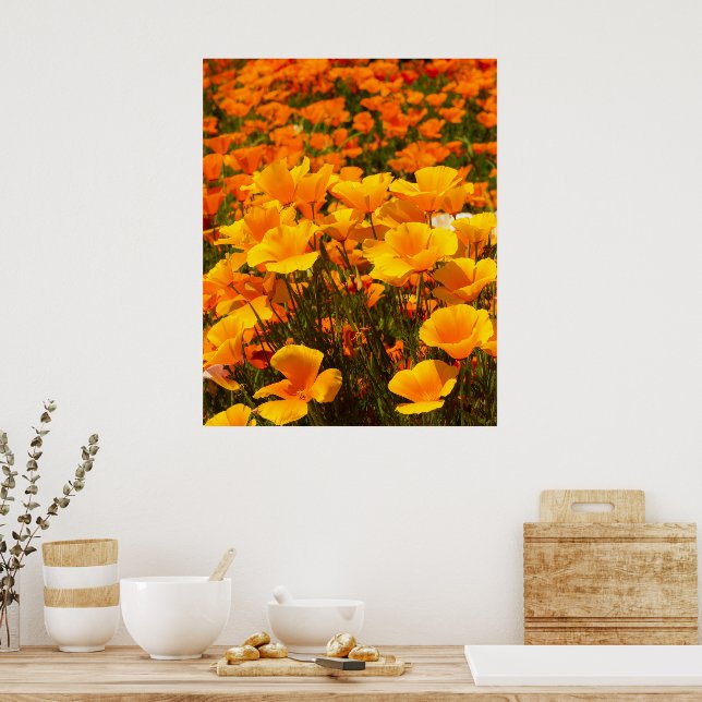 Póster California Poppies | Belleza de la primavera (Cocina)