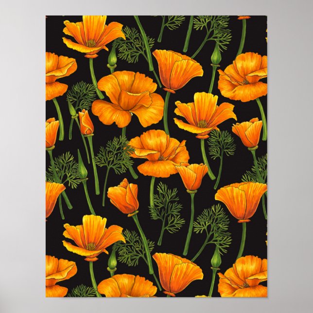 Póster California poppy (Frente)