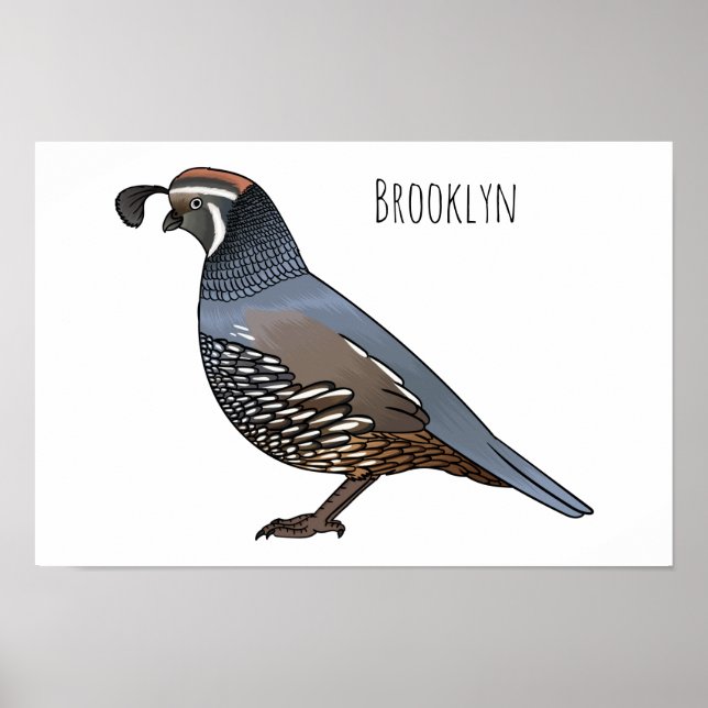 Póster California quail bird cartoon illustration  (Frente)