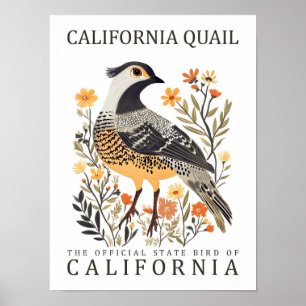 Póster California Quail Bird of California USA Travel