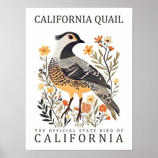 Póster California Quail Bird of California USA Travel (Frente)