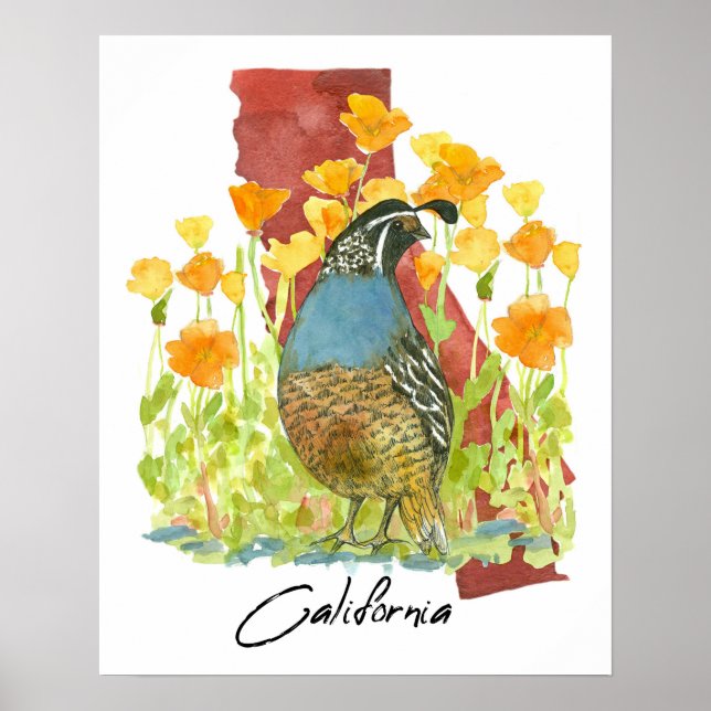 Póster California Quail Bird Poppies State Shape (Frente)