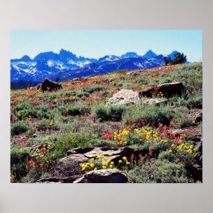 Póster California, Sierra Nevada Montañas 1