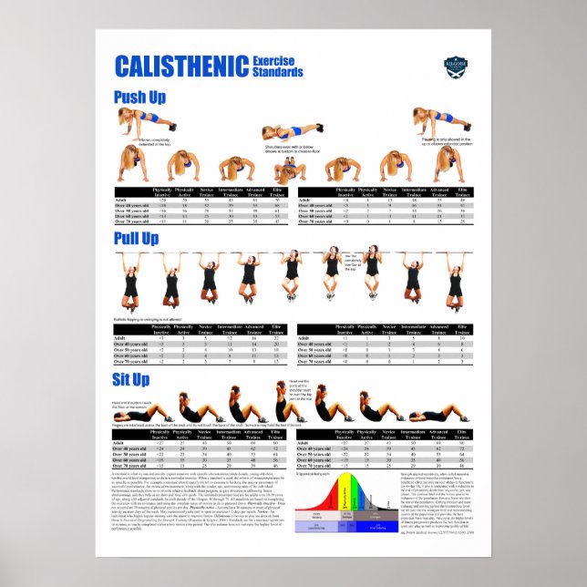 Póster Calisthenic Standards (Frente)