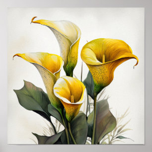Póster Calla amarilla Lilies Lily Flor Poster de impresió