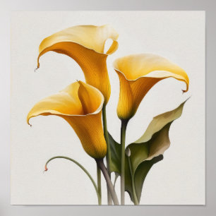 Póster Calla amarilla Lilies Lily Flor Poster de impresió