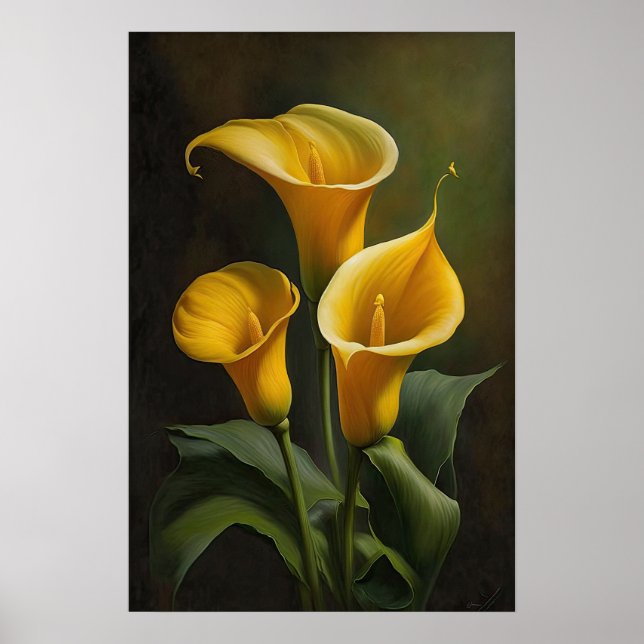 Póster Calla amarilla Lilies Lily Flor Poster de impresió (Frente)
