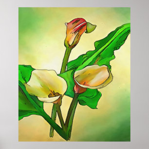 Póster Calla Lilis Específica Contra Un Ombre Verde
