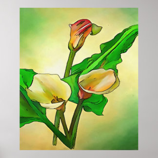 Póster Calla Lilis Específica Contra Un Ombre Verde