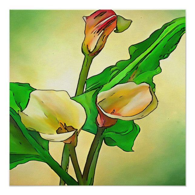 Póster Calla Lilis Específica Contra Un Ombre Verde (Anverso)