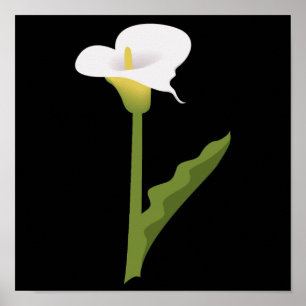 PÓSTER CALLA LILY