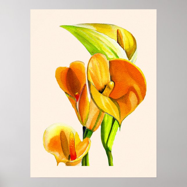 Póster Calla lily blossom acuarela floral (Frente)