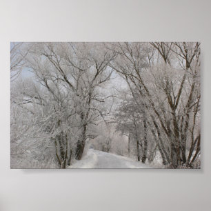 Póster Calle alineada árbol del invierno