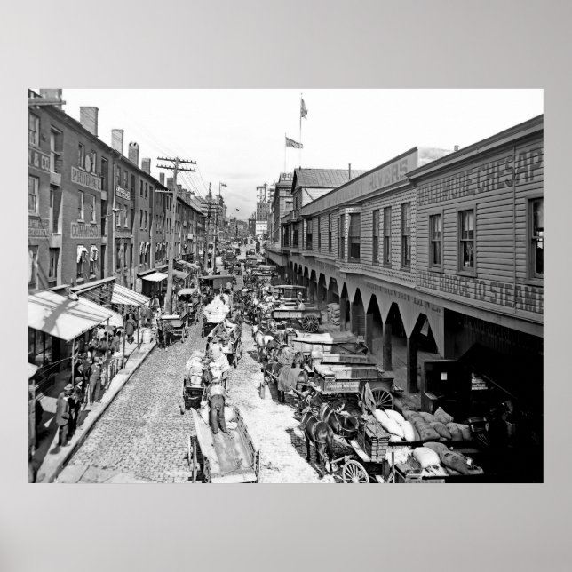 Póster Calle Baltimore (Frente)