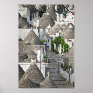 Póster Calle con casas de trulli en Alberobello, Puglia
