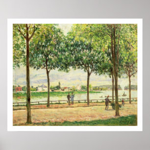 Póster Calle de Alfred Sisley el de los árboles de