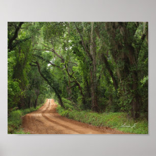 Póster Calle de plantación pacífica en imagen de lienzo d