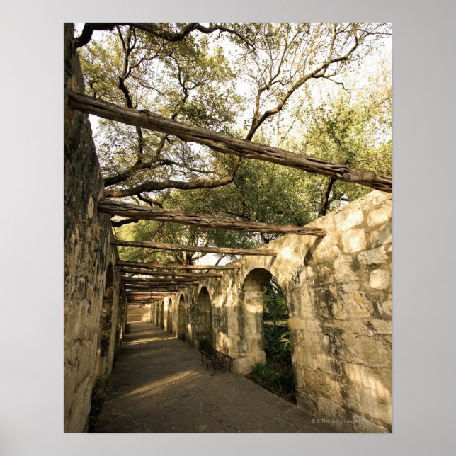 Póster Calle de San Antonio, Texas (Frente)