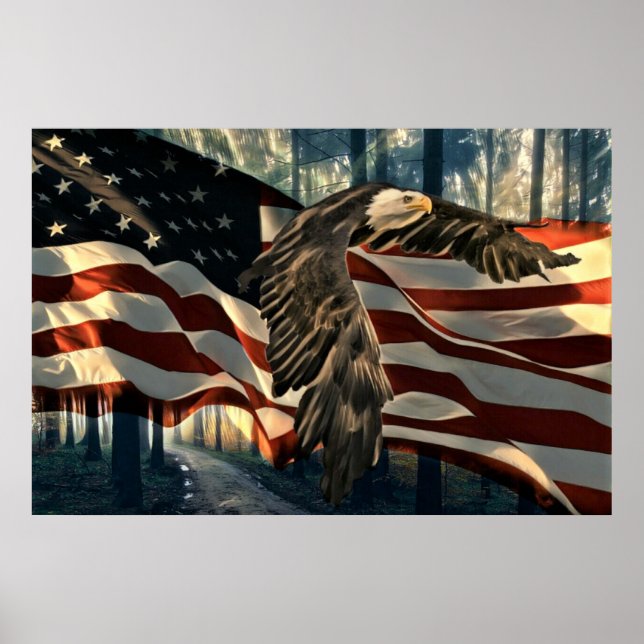 Póster Calle del águila del águila estadounidense de band (Frente)