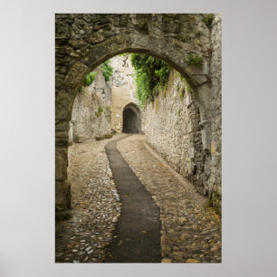 Póster Calle Gray Cobblestone, Francia