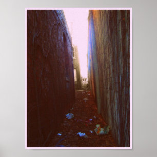 Póster Callejón