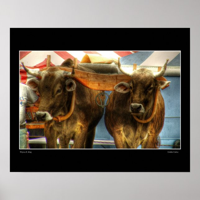 Póster Calles dorados (Frente)