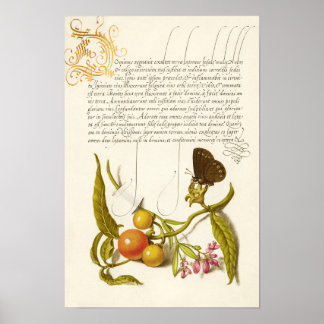Póster Calligrafía de ringlet inicial de plantas ventilar