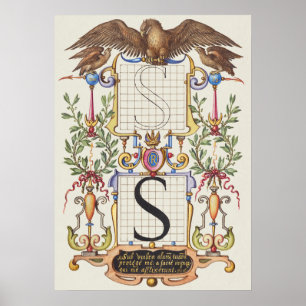 Póster Calligrafía vintage
