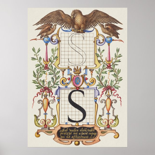 Póster Calligrafía vintage (Frente)