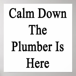 Póster Calm Down the Plumber is Here