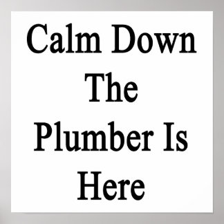 Póster Calm Down the Plumber is Here