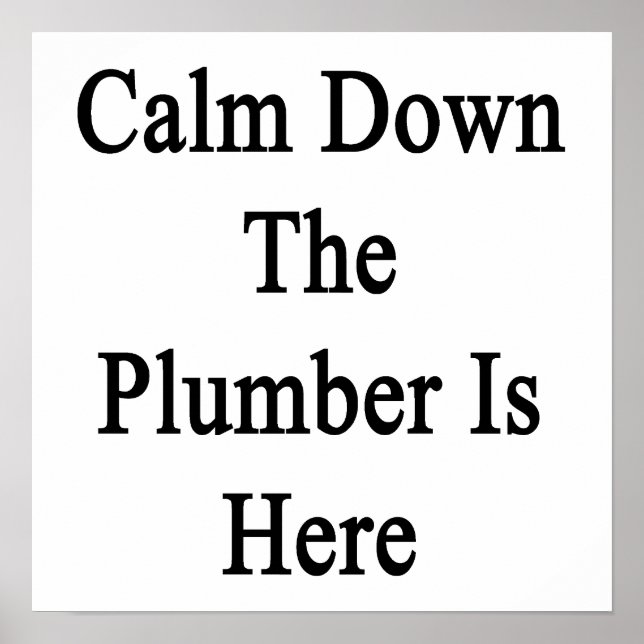 Póster Calm Down the Plumber is Here (Frente)