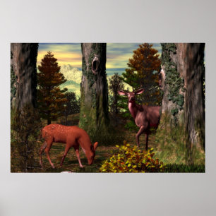 Póster Calma del bosque