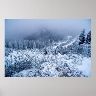 Póster Calmo día de invierno nublado sobre las montañas