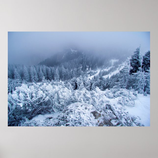 Póster Calmo día de invierno nublado sobre las montañas (Frente)