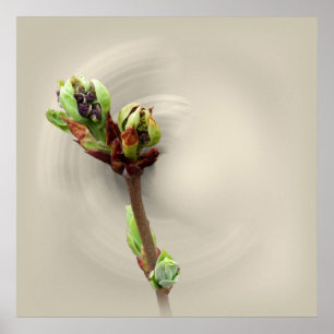 Póster calor de primavera