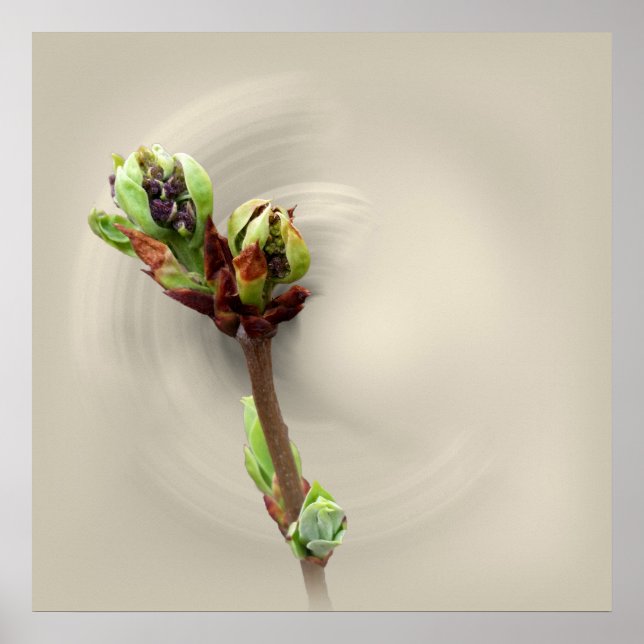 Póster calor de primavera (Frente)