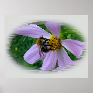 Póster Calor de verano