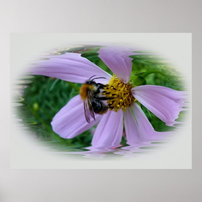 Póster Calor de verano (Frente)