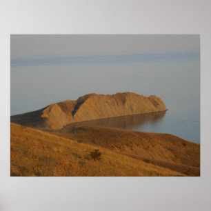 Póster Camaleón