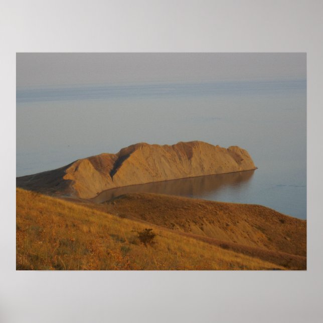 Póster Camaleón (Frente)