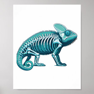 Póster Camaleón de rayos X Anatomía del cuerpo Radiografí