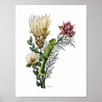 Camaleón lindo en Protea Floral Bouquet Botánico