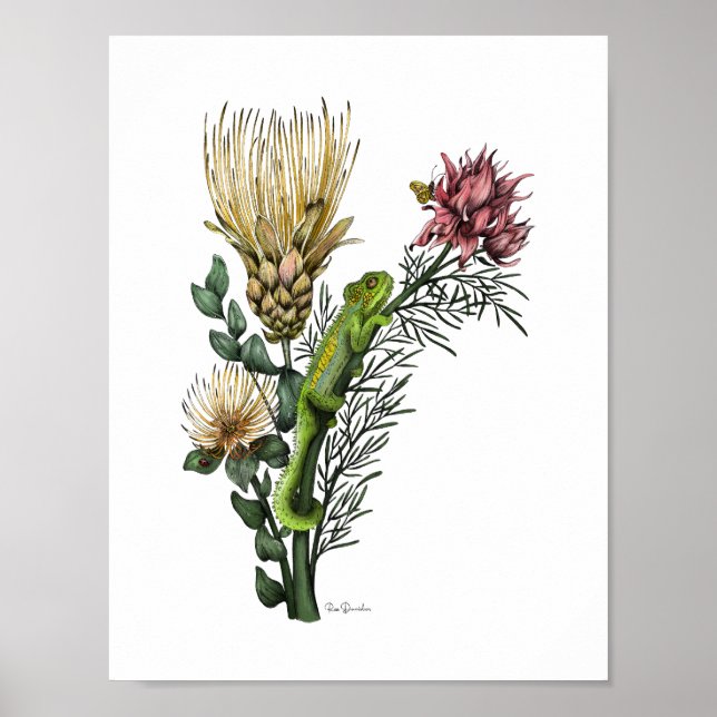 Póster Camaleón lindo en Protea Floral Bouquet Botánico (Frente)