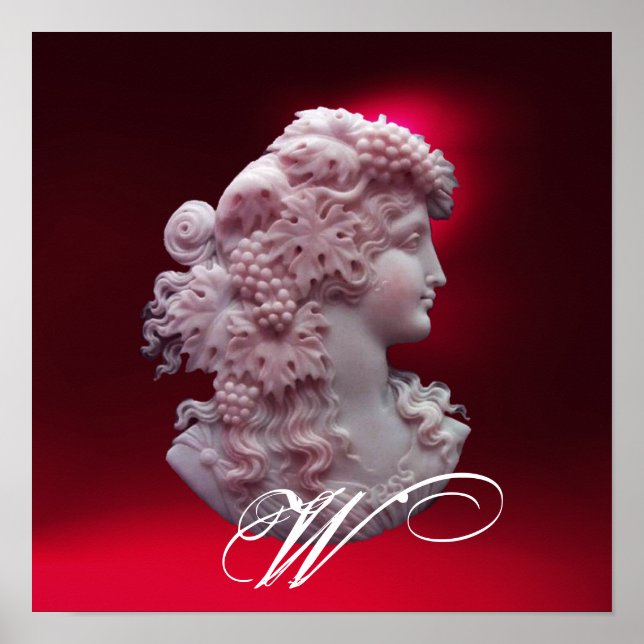 PÓSTER CÁMARA ANTIGUA, SEÑORA CON MONOGRAMA DE GRAPAS (Frente)