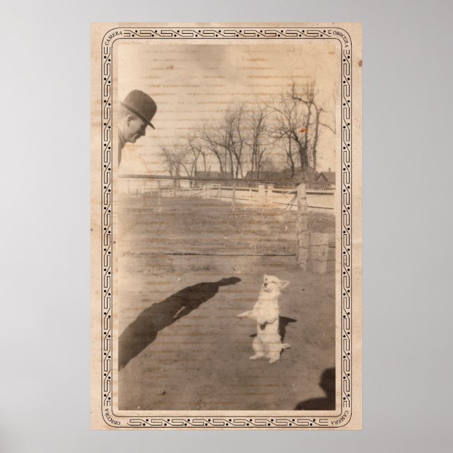 Póster Cámara Obscura #351 (Frente)