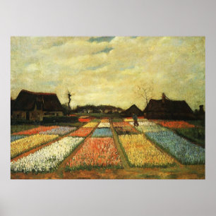 Póster Camas de flores en Holanda