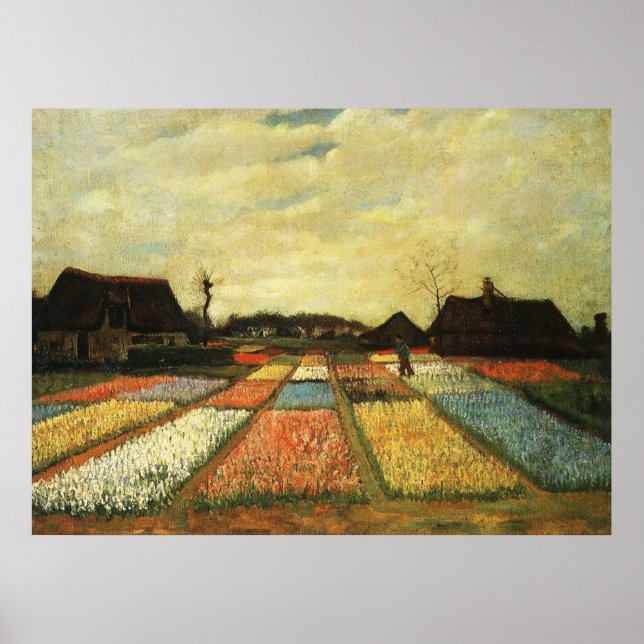 Póster Camas de flores en Holanda (Frente)