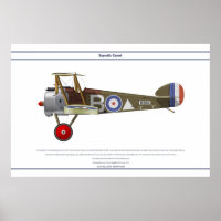 Camel 43 Sqn