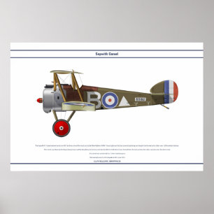 Póster Camel 43 Sqn